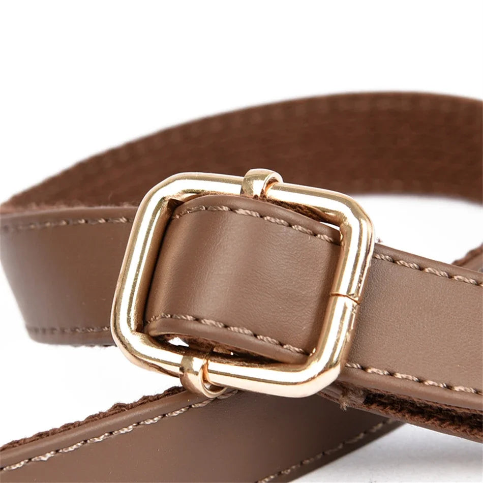 The Downtown Designer Messenger